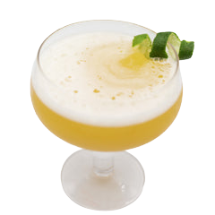 Agave Nectar | Master of Mixes Cocktail Essentials